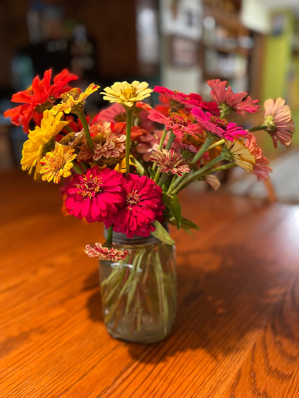 Zinnias in a vase